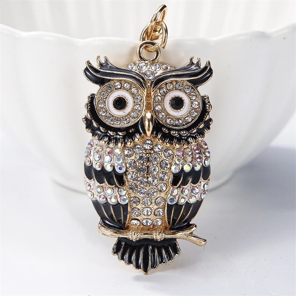 Accessories - Beautiful Black and Silver Crystal Owl Keychain Charm